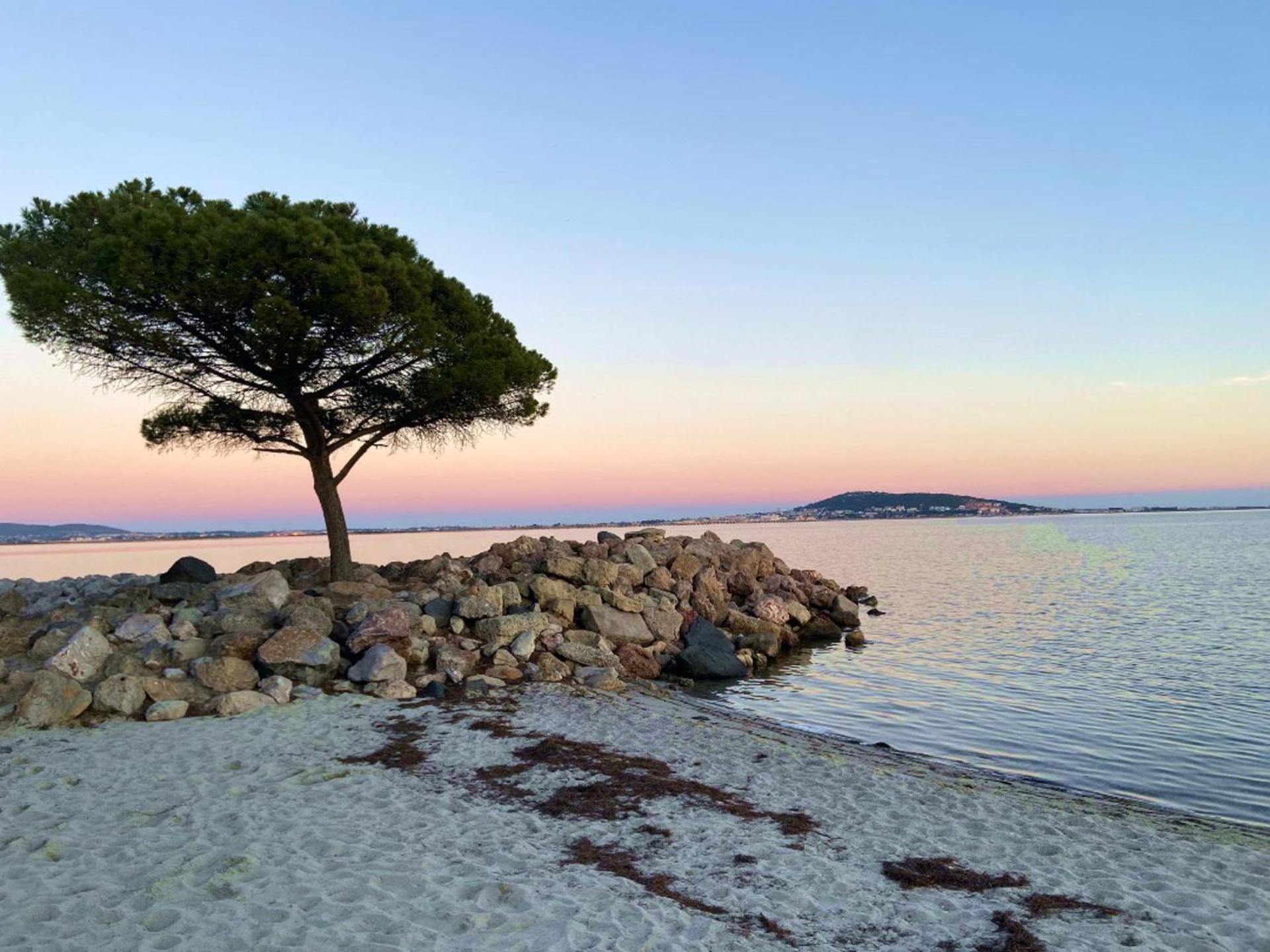 Romantic Maison De Pecheur Sparkling Sea Views 메제 외부 사진